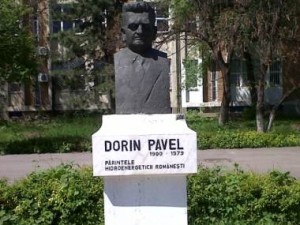 bust Dorin Pavel